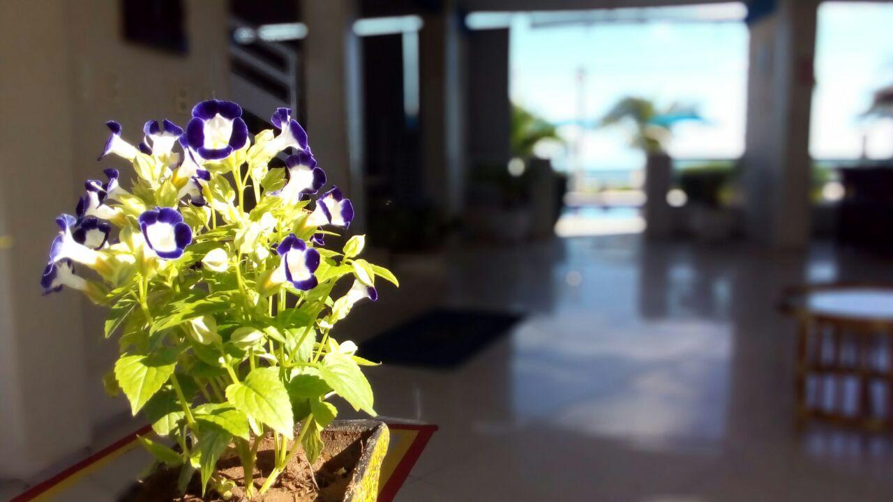Hotel Brisa Mar Flecheiras Exteriér fotografie